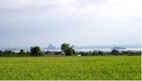 nouvelle_image_39_277