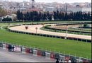 Turkey, Istanbul racecourse(1999)